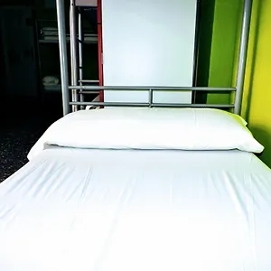  호스텔 피트업 옐로우 네스트